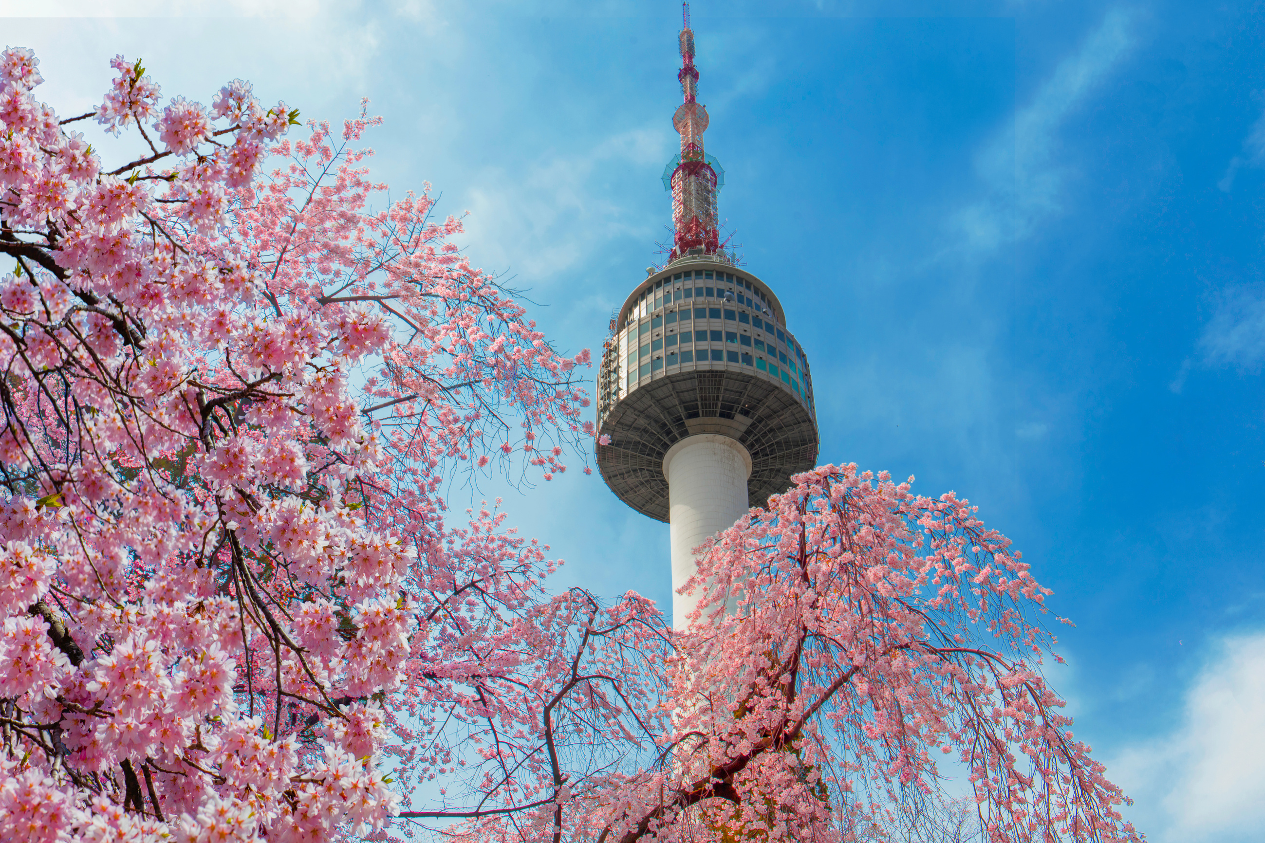 Seoul tower